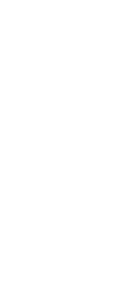 原料