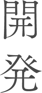 開発